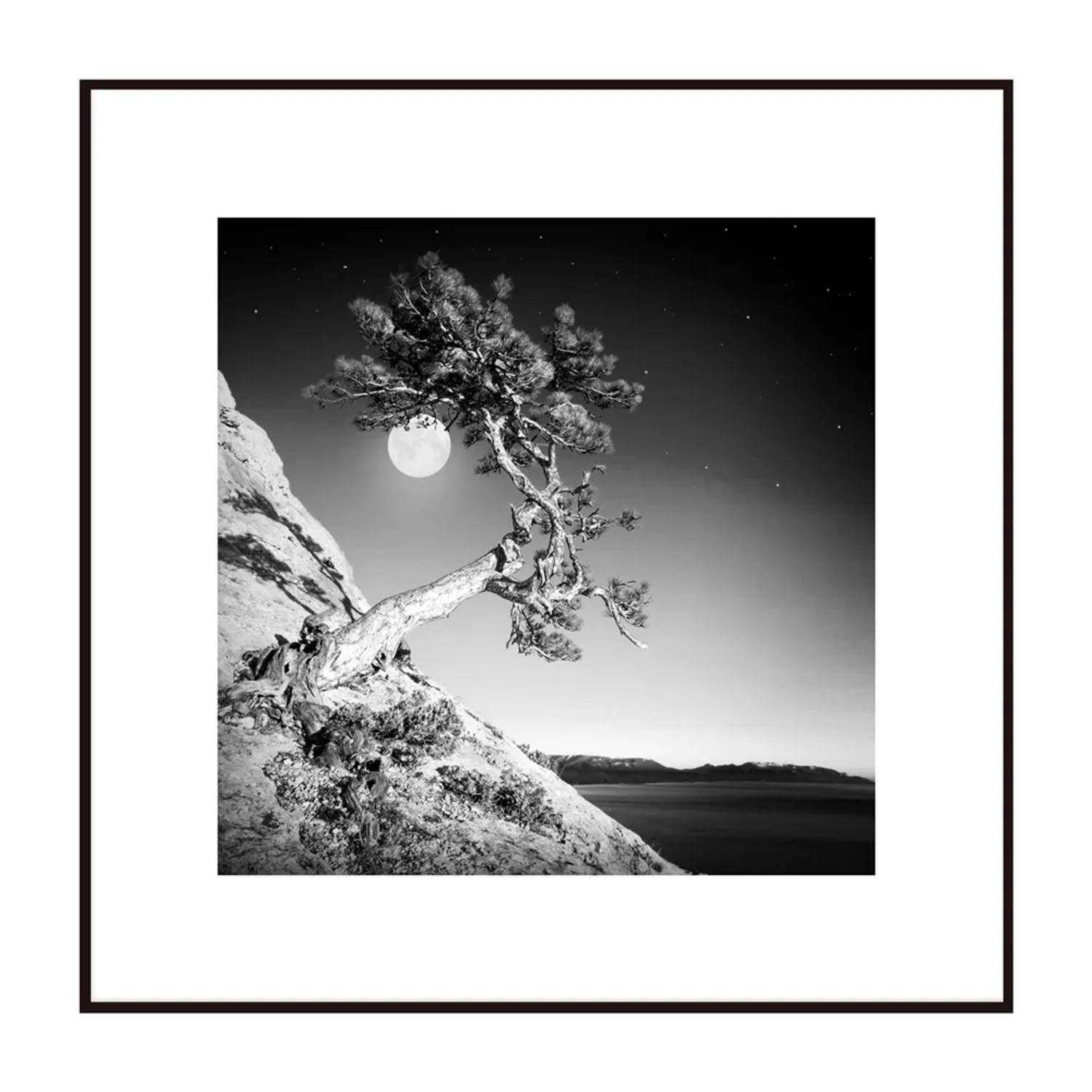 Obraz Artbox MOON TREE 50 cm x 50 cm