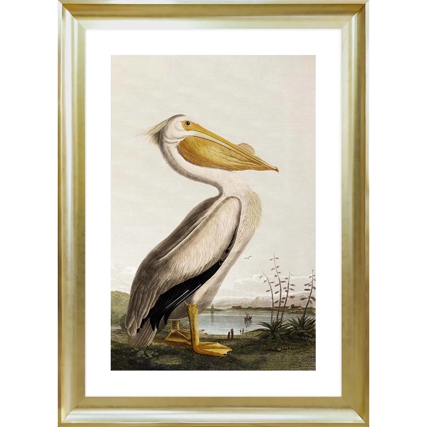 ARS LONGA Obraz PELICAN  58 x 78 cm