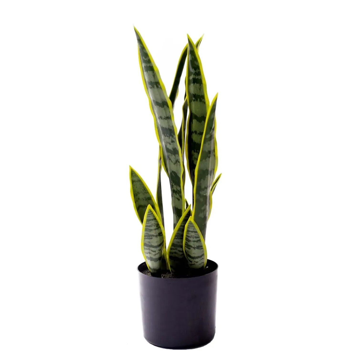 Sansewieria sztuczna - wys. 50 cm