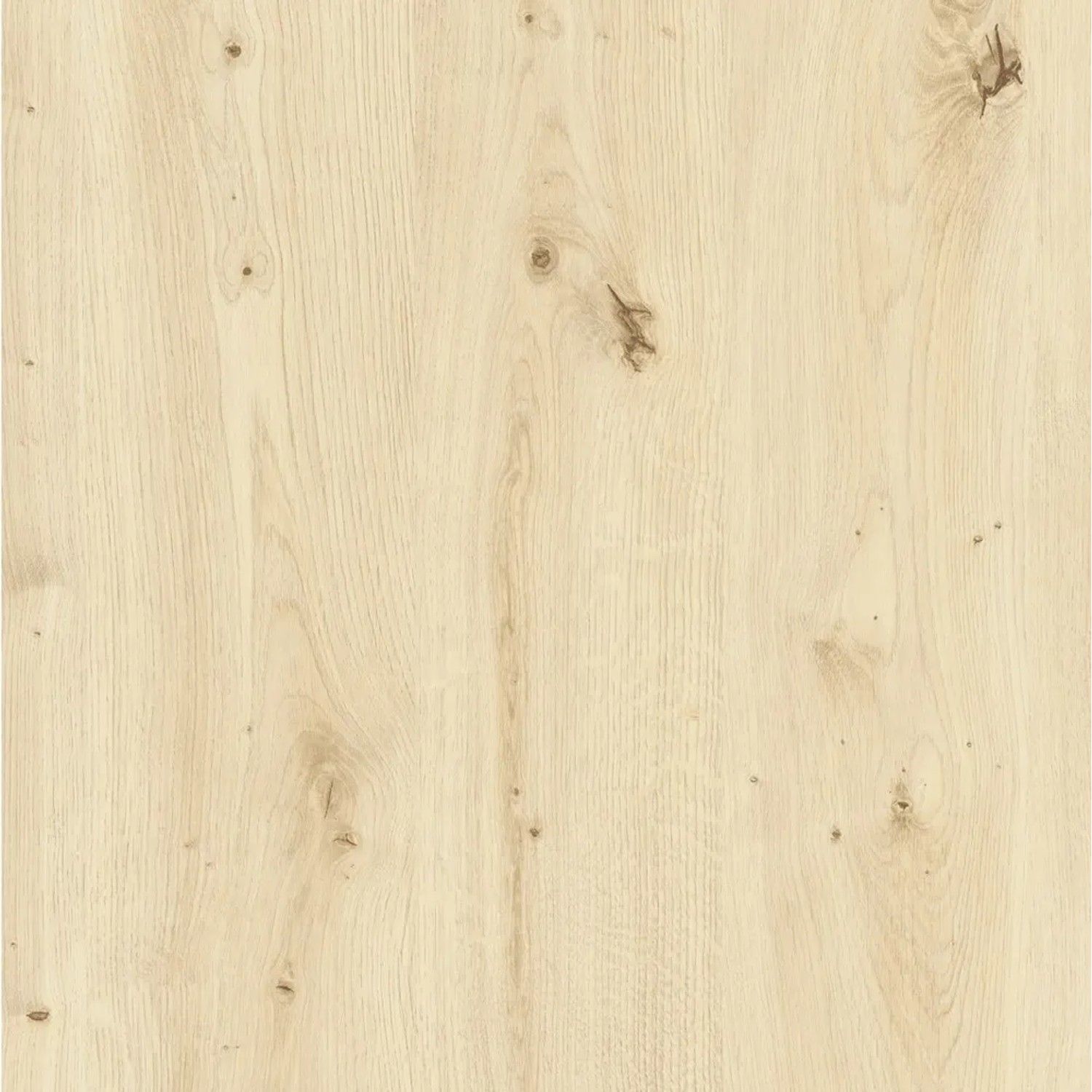 Okleina DĄB SKANDYNAWSKI beżowa 45 cm x 200 cm