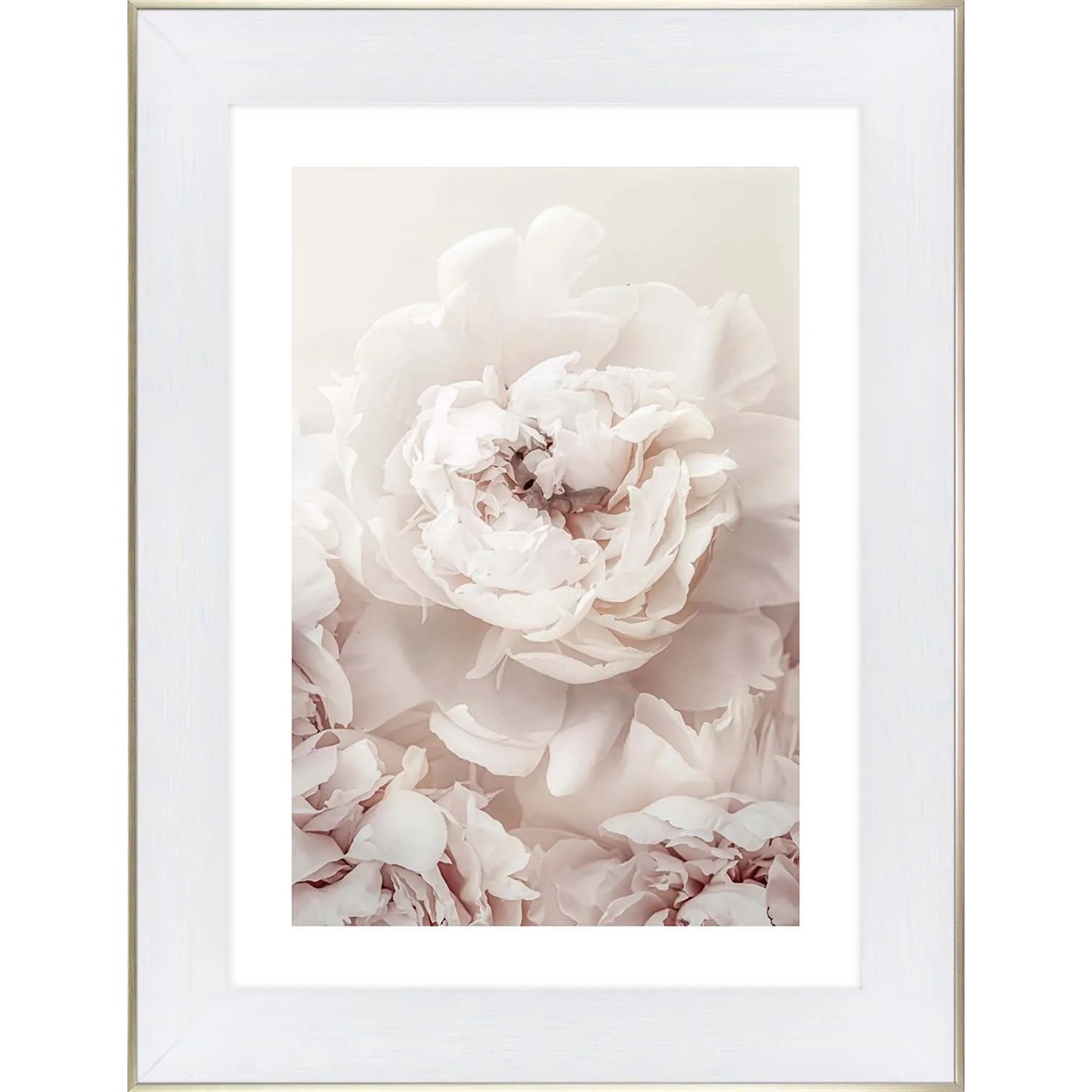 ARS LONGA Obraz SPREADING PEONIES 64 x 84 cm