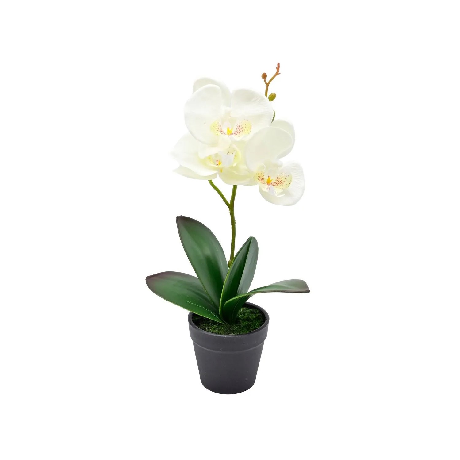 Storczyk w doniczce white sztuczny - 30 cm
