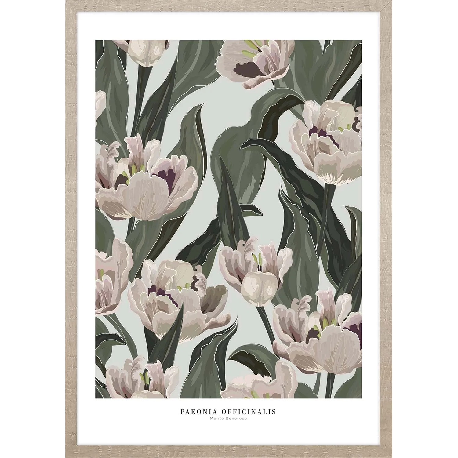 ARS LONGA Obraz OFFICAL PEONIA 53 x 73 cm
