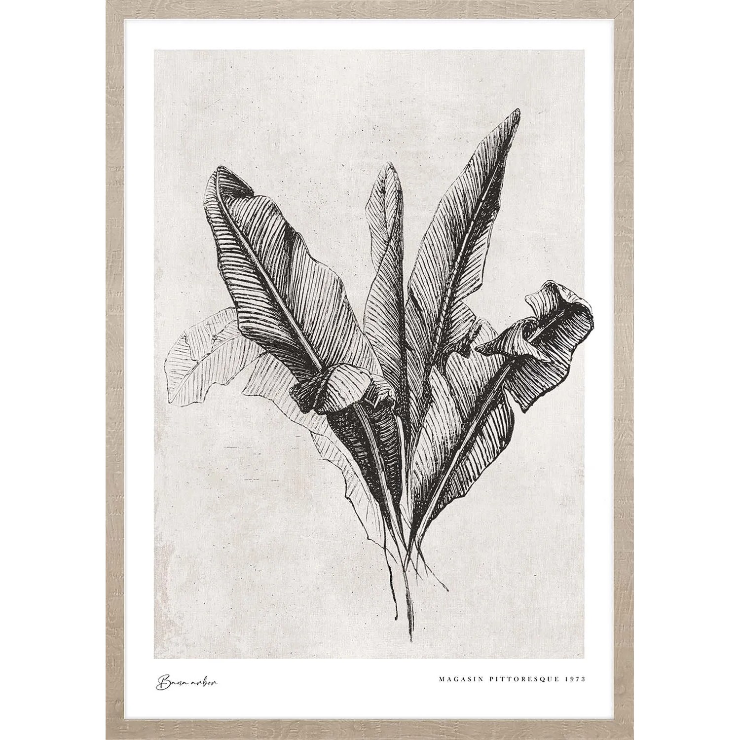 ARS LONGA Obraz BANANA LEAVES 53 x 73 cm