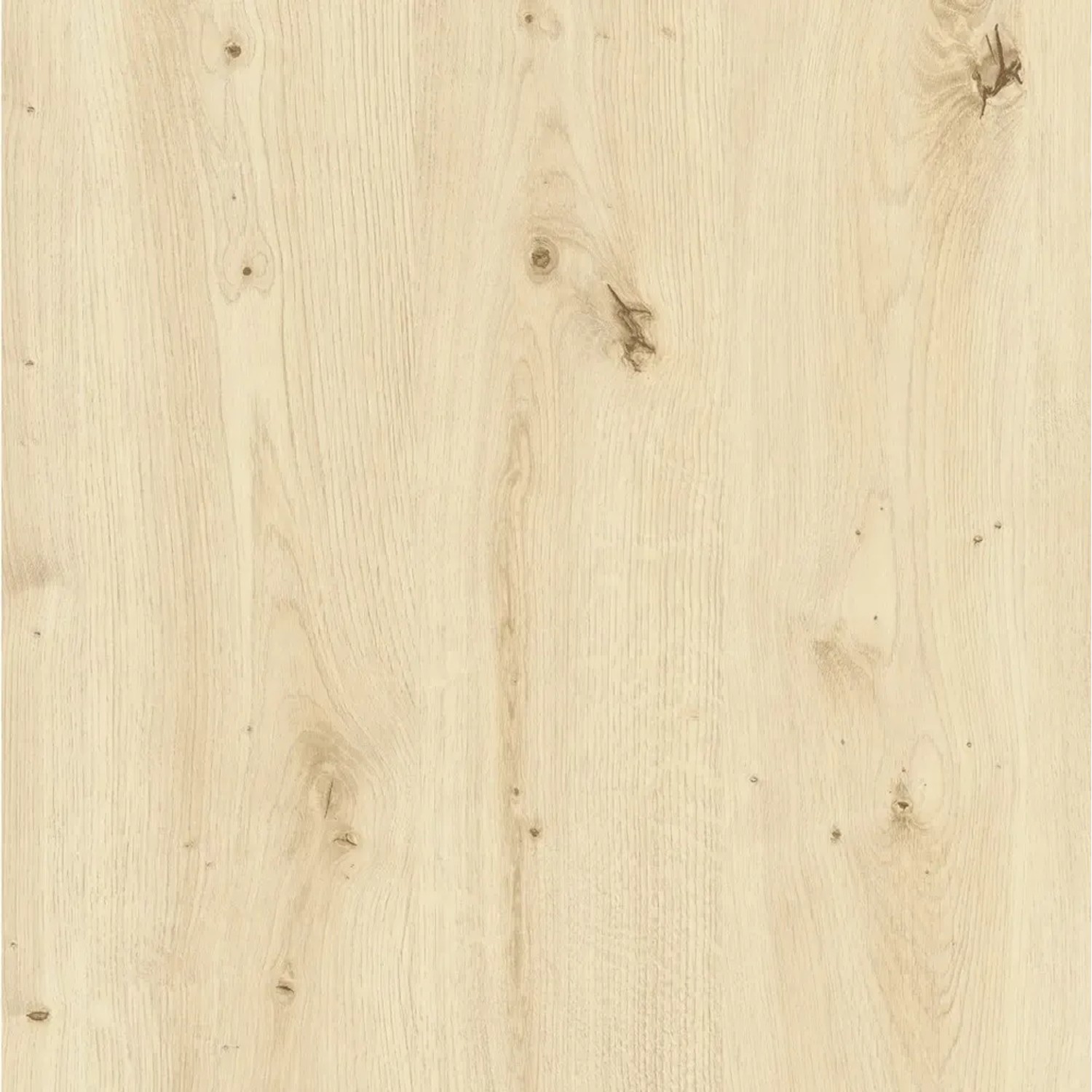 Okleina DĄB SKANDYNAWSKI beżowa 67,5 cm x 200 cm