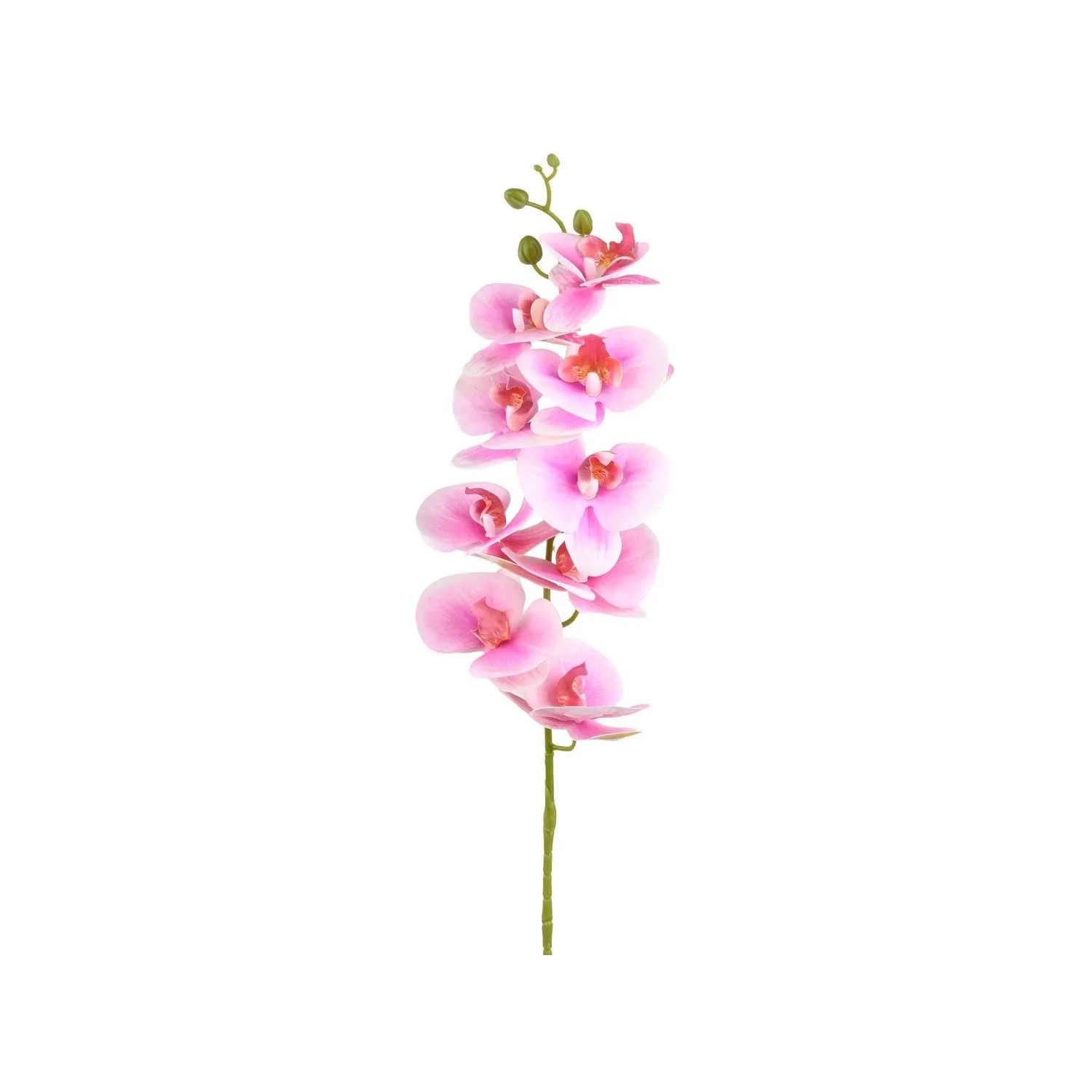 Storczyk gałązka white-dark pink - 85 cm
