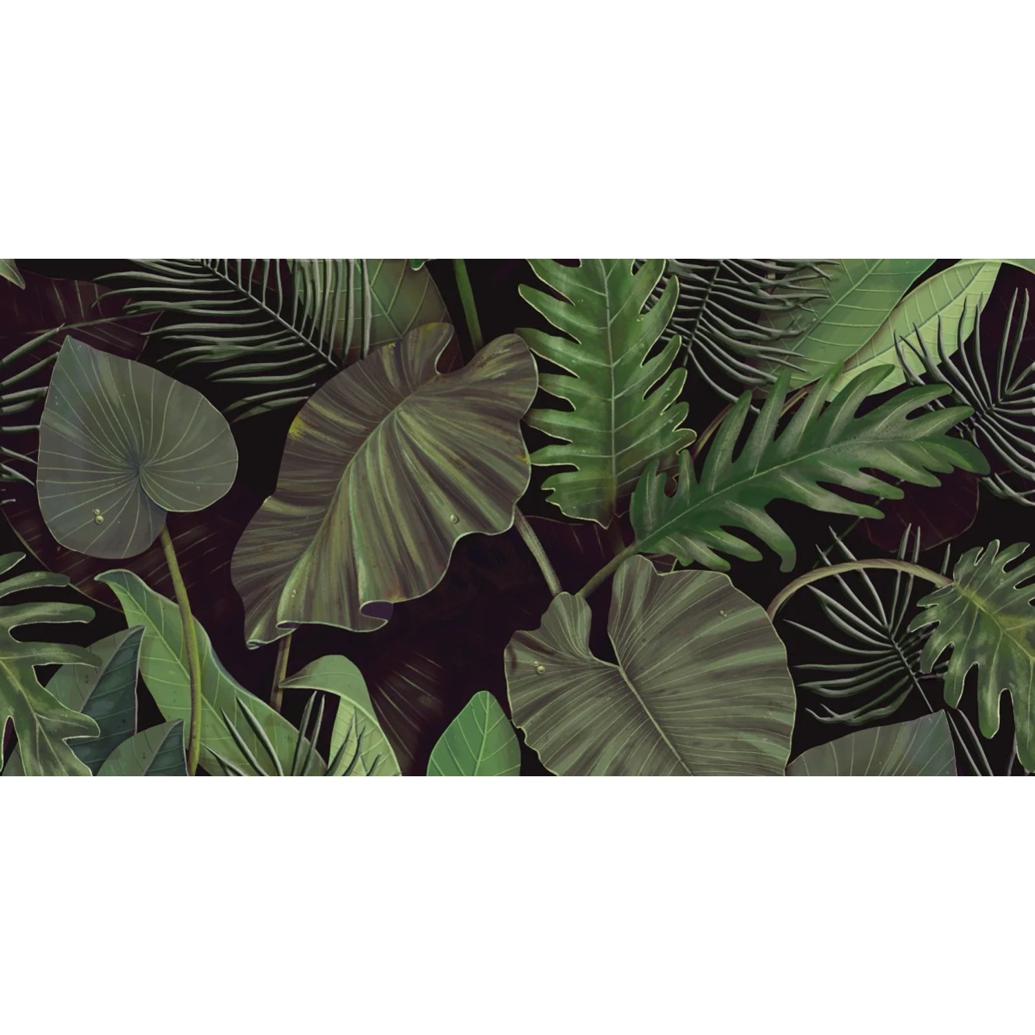 Dekor Botanic Green A 30 x 60 cm