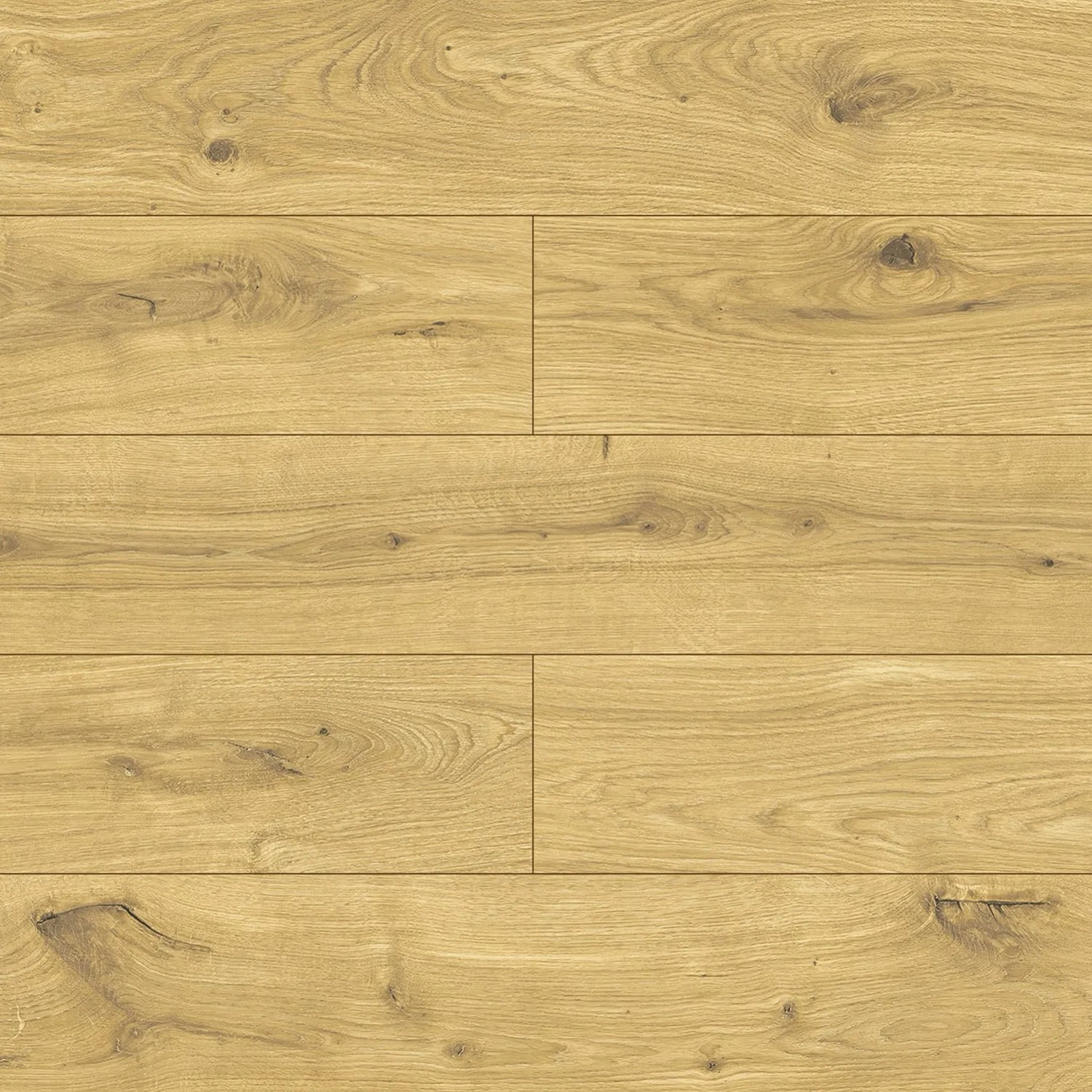 Swiss Krono Panel podłogowy Dąb Orlean 8 mm AC 4