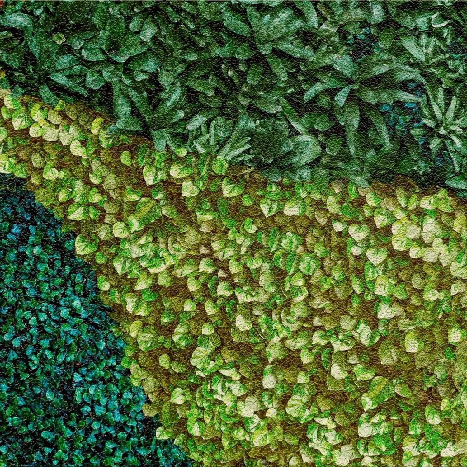 Dekor Gresowy Buxus Trawnik 8/8 60 x 60 cm