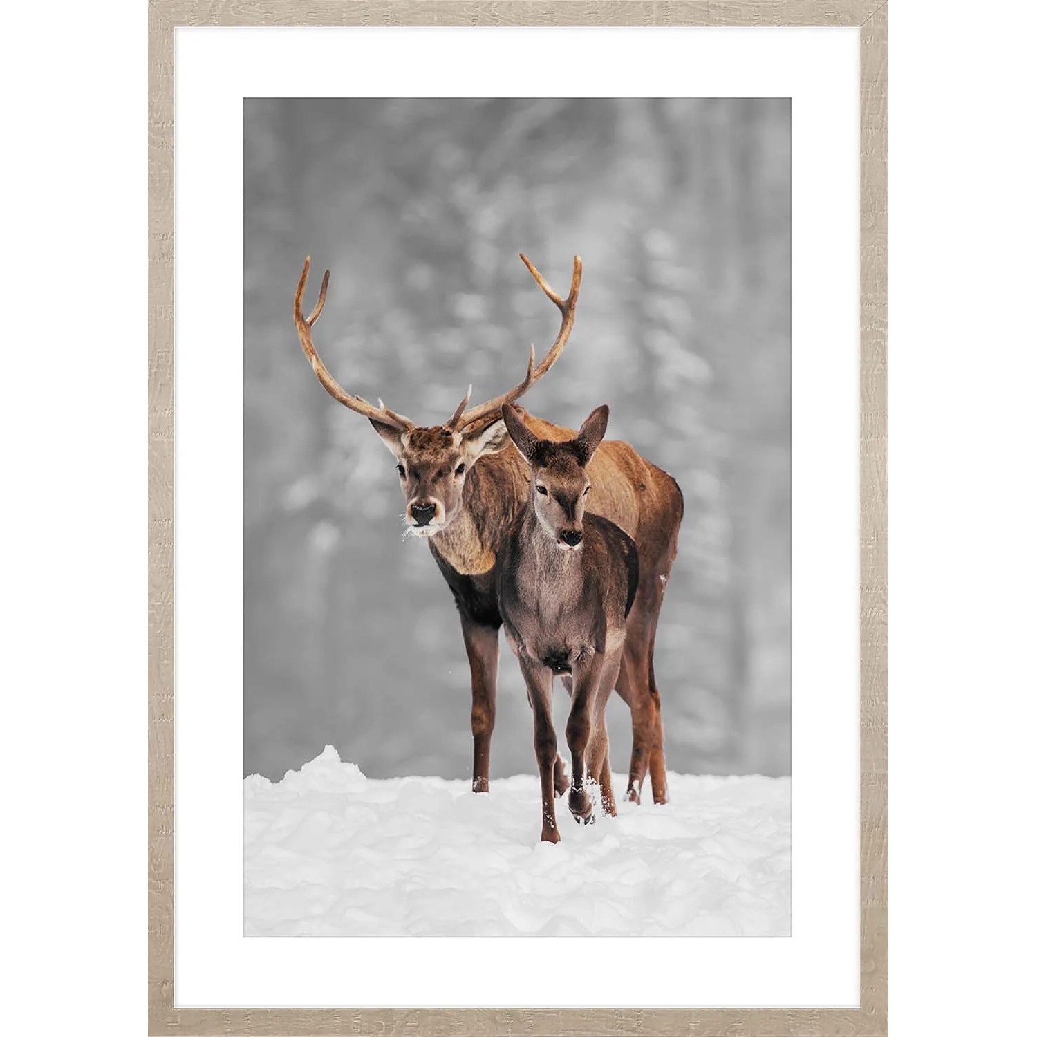 ARS LONGA Obraz DEER WALK 53 x 73 cm