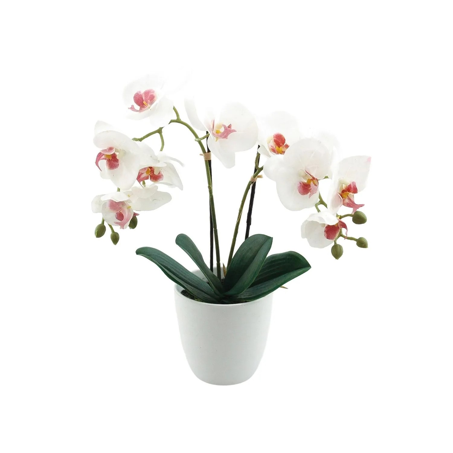 Storczyk w doniczce gumowany white - 40 cm