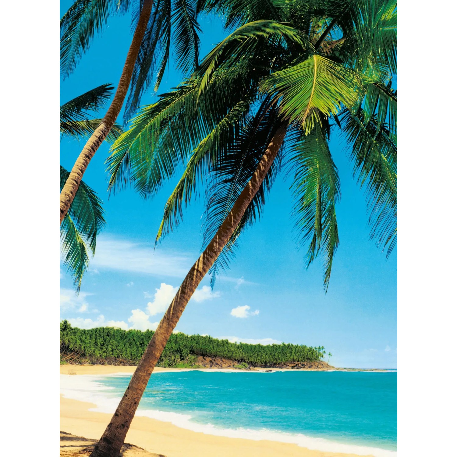 Fototapeta Ile Tropicale 192x260 cm