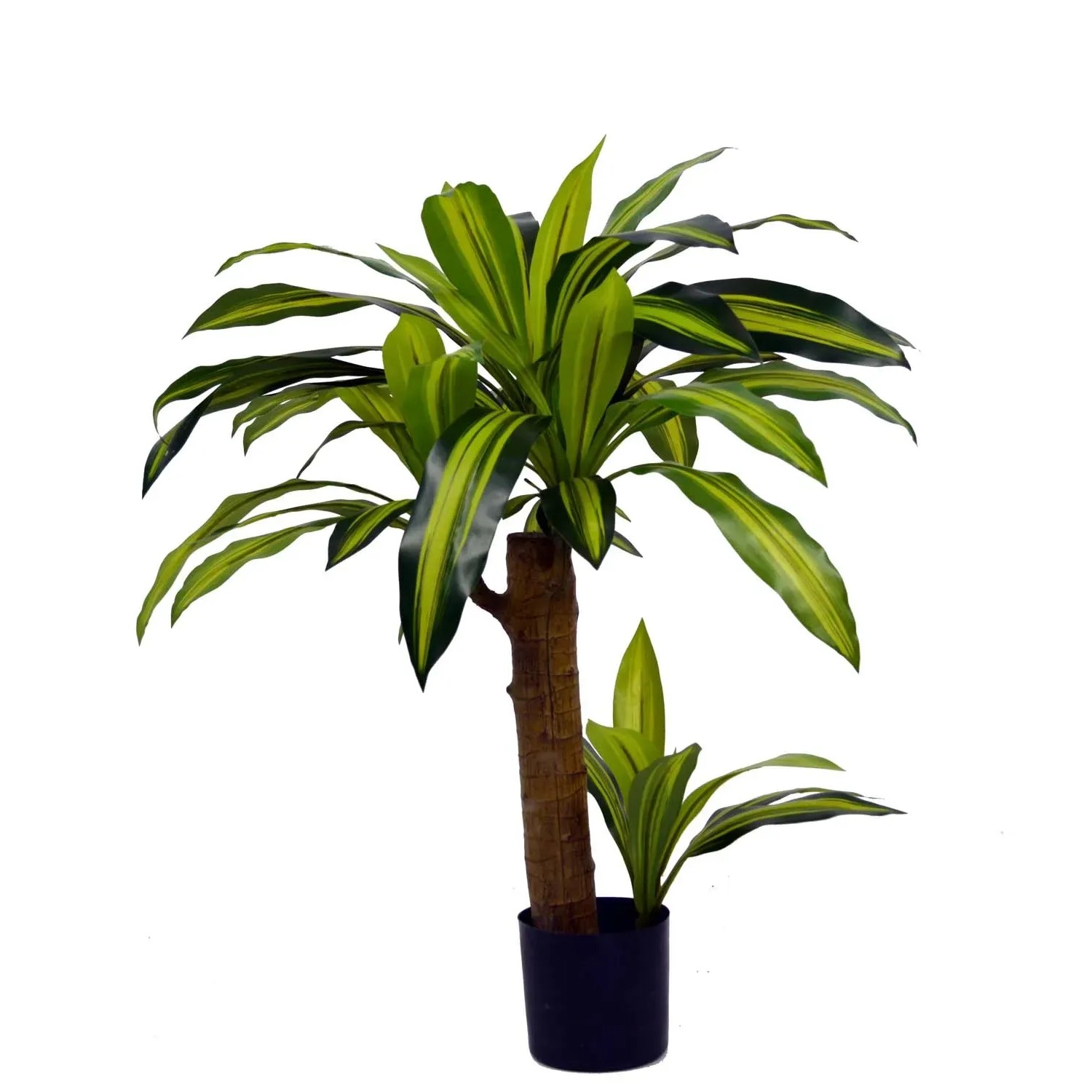 Dracena sztuczna - wys. 80 cm