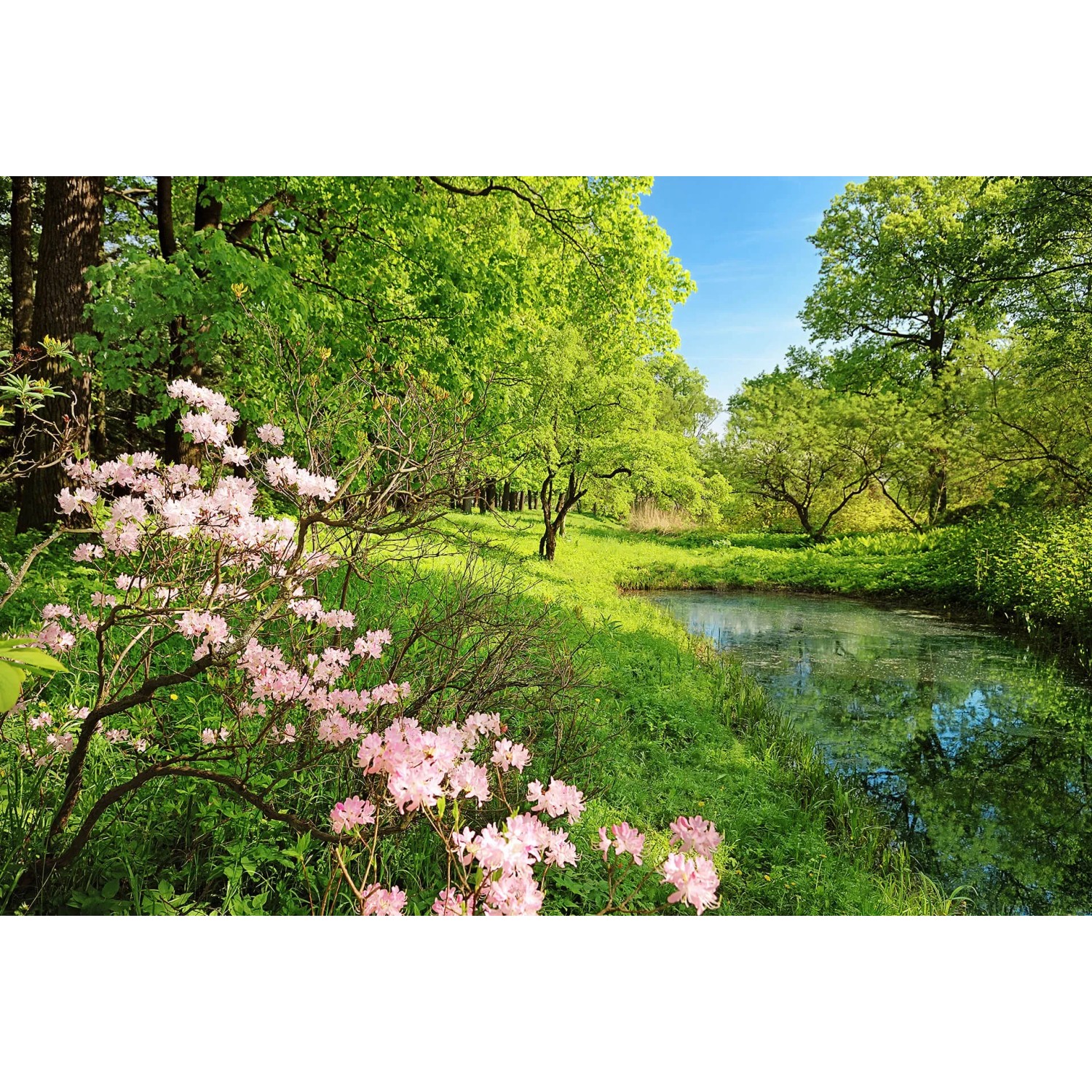 Fototapeta Park in the Spring 384x260 cm