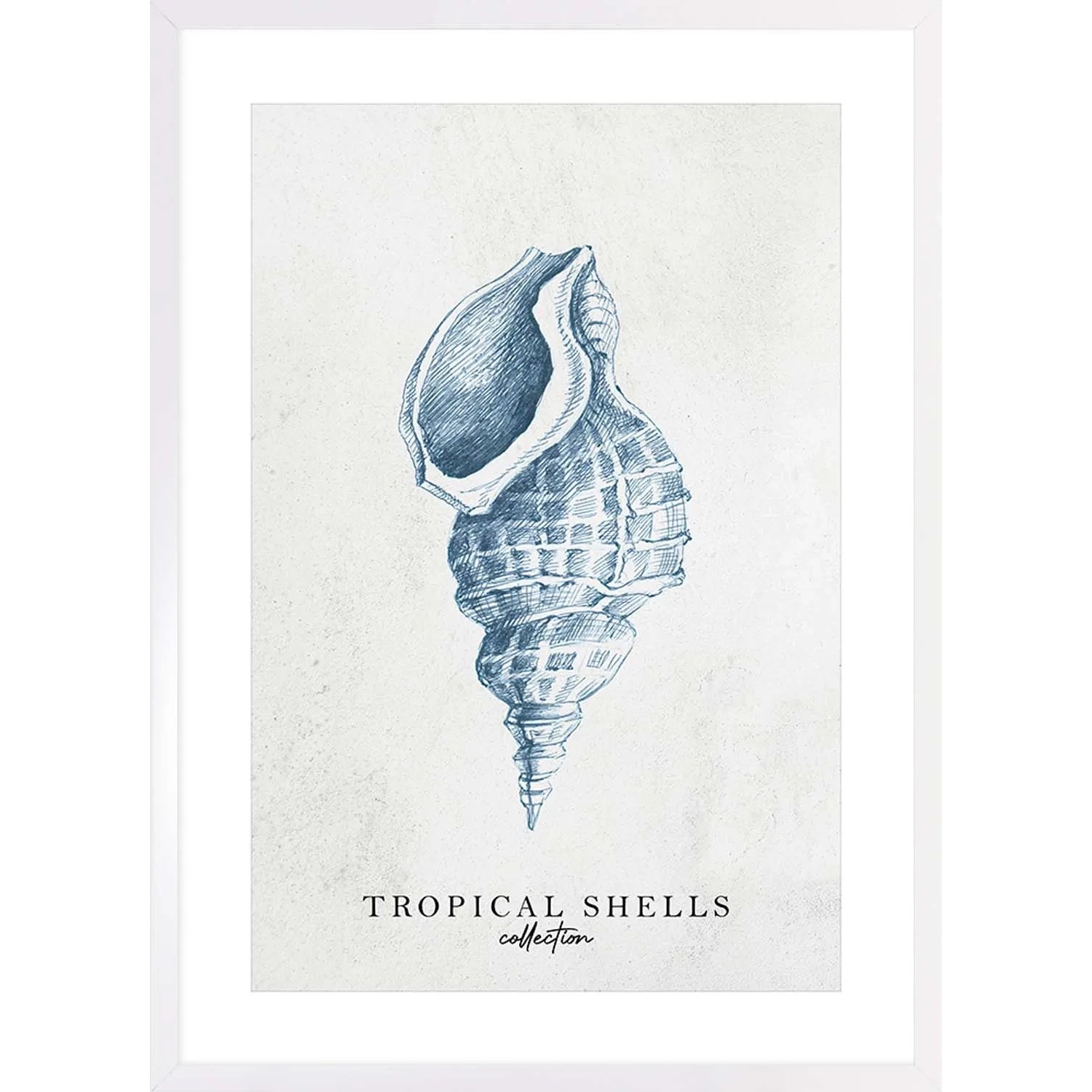 ARS LONGA Obraz TROPICAL SHELLS no.1 53 x 73 cm
