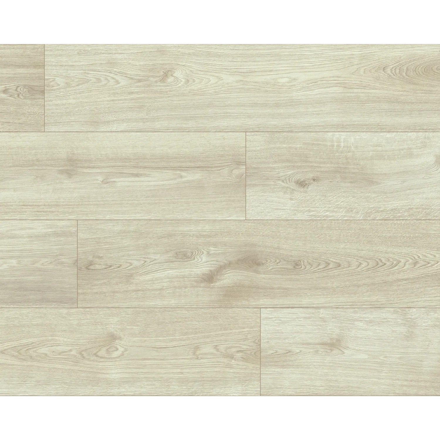 Classen Panel podłogowy Treviso 8 mm AC4