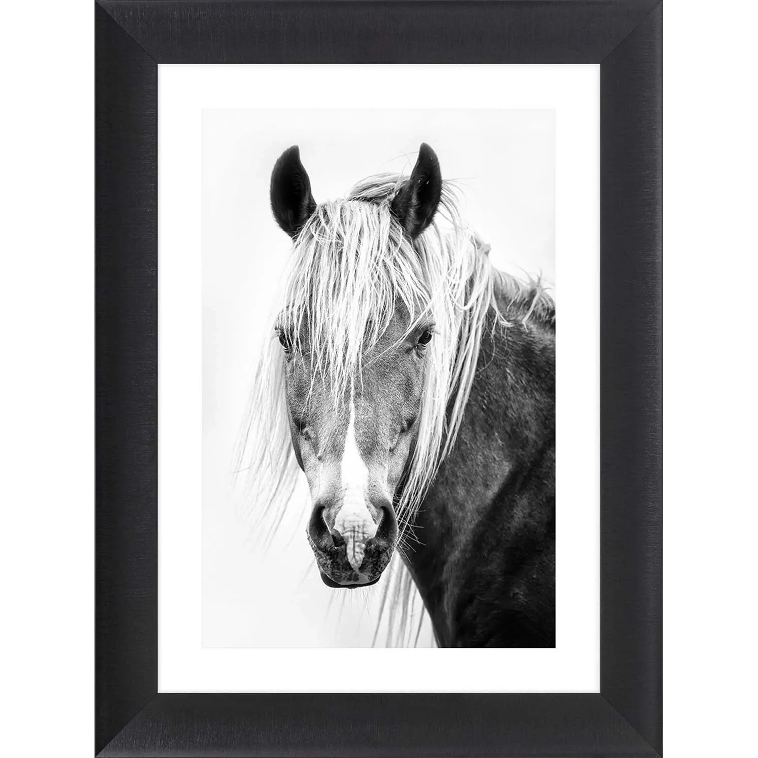 ARS LONGA Obraz THE EYE OF HORSE 64 x 84 cm