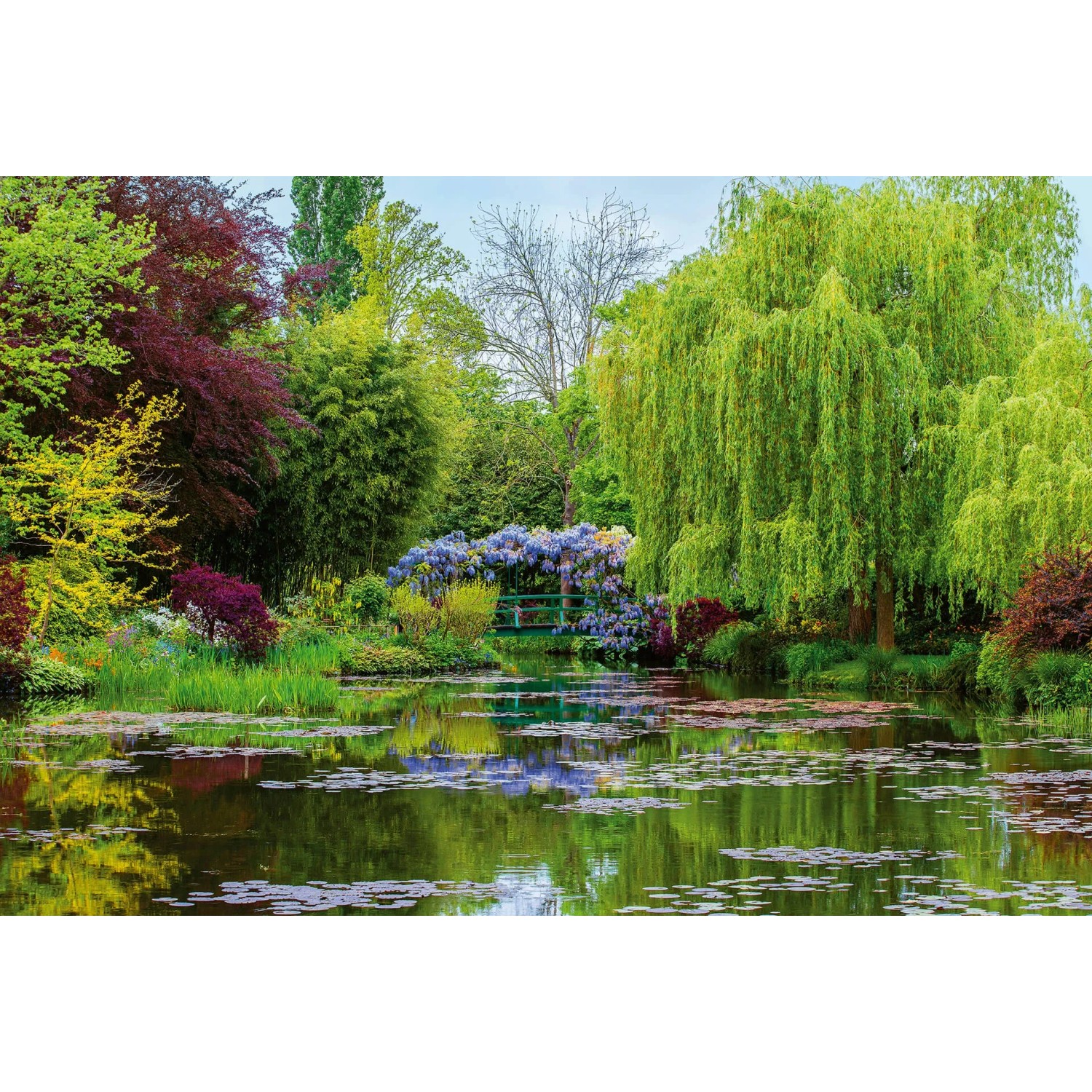 Fototapeta Monet's Garden 384x260 cm