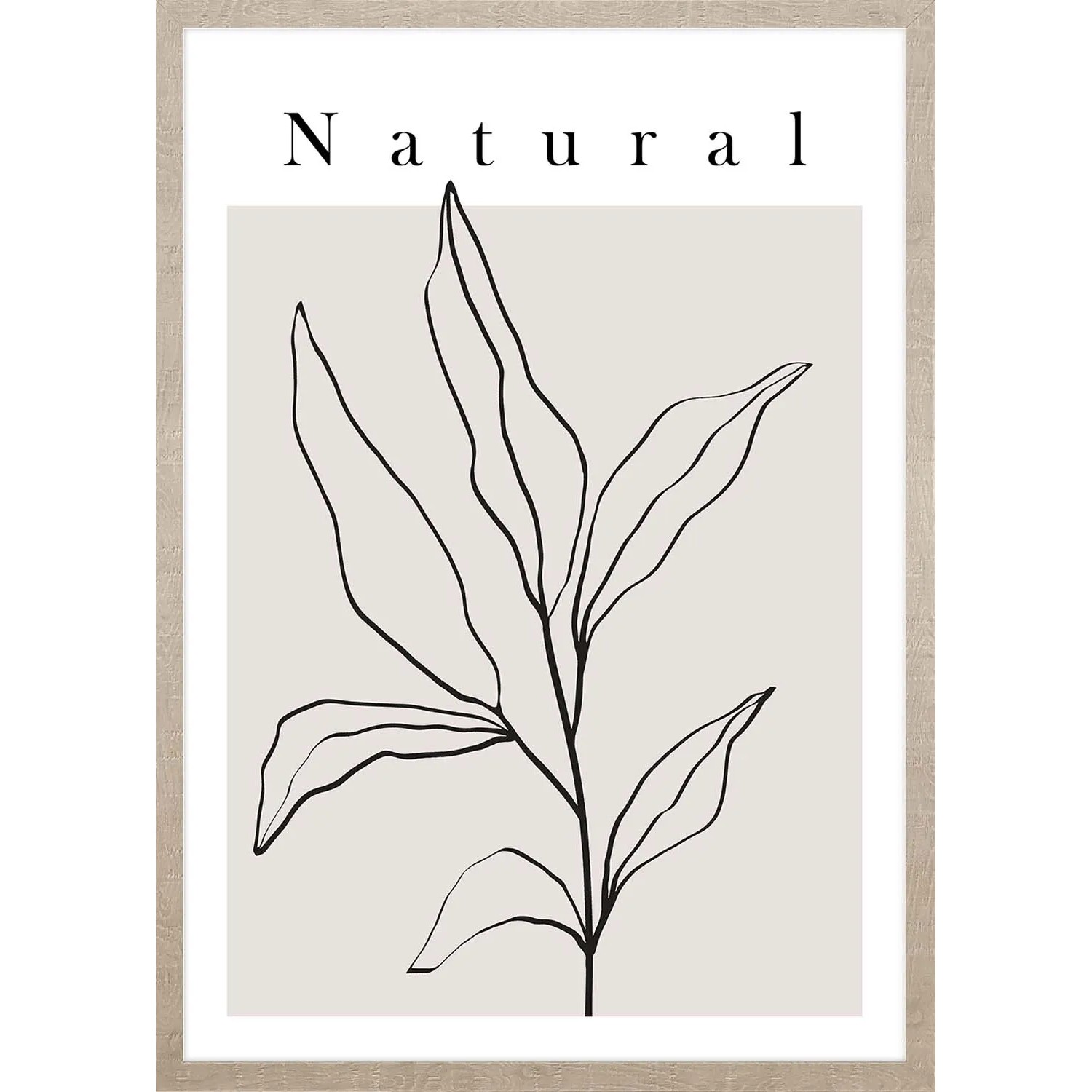 ARS LONGA Obraz ART LINE PLANT no.1 53 x 73 cm