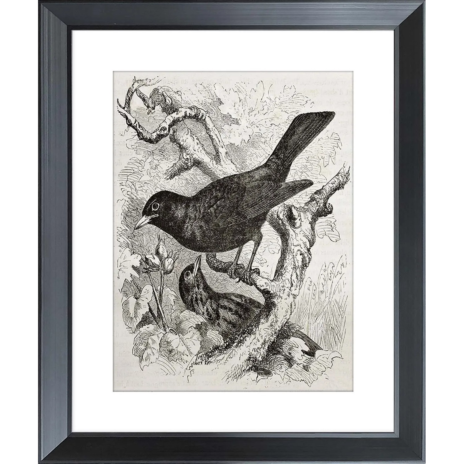 ARS LONGA Obraz BIRDS ON BRANCHES 45 x 55 cm
