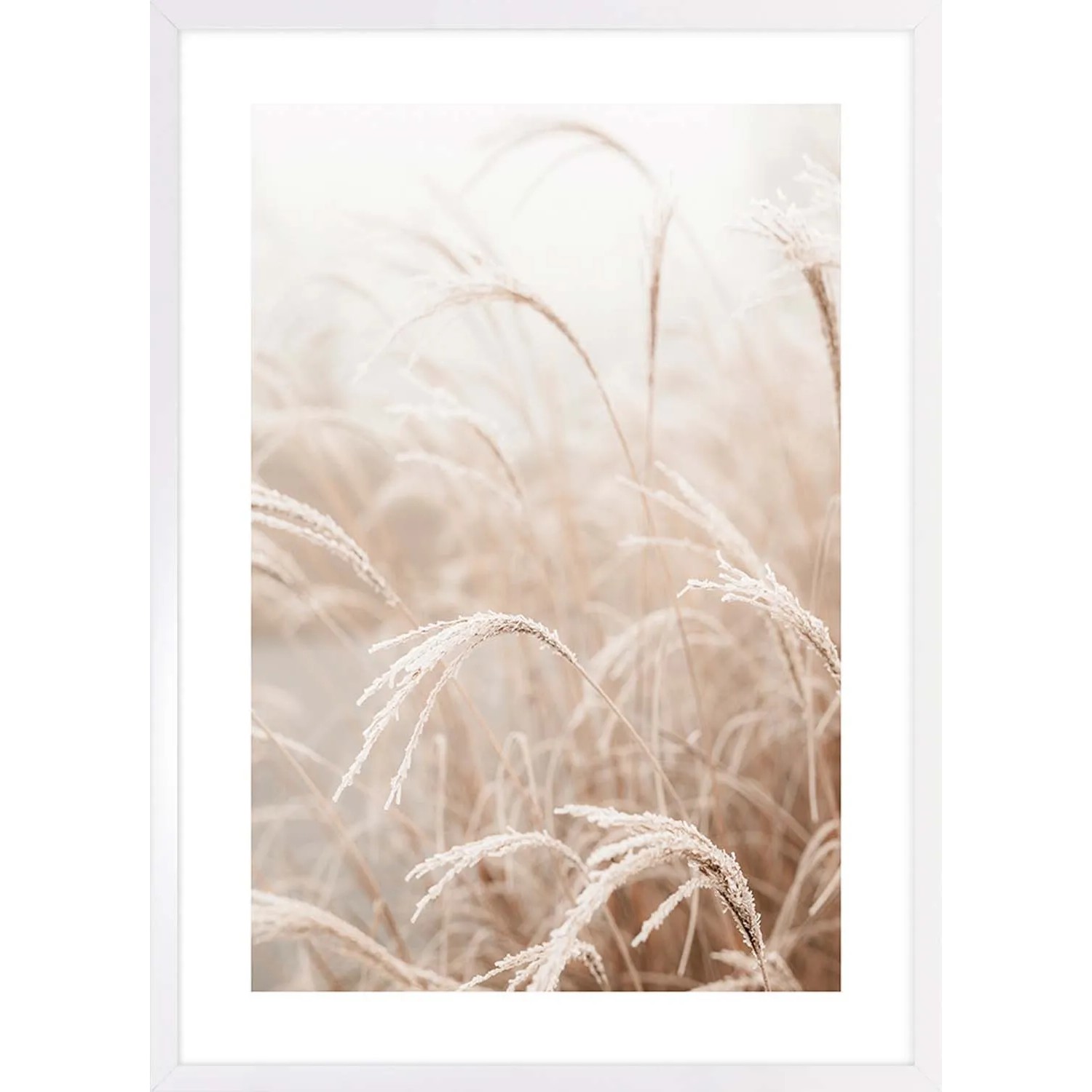 ARS LONGA Obraz GRASS SUN no.2 53 x 73 cm